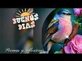 Feliz Martes Buenos dias con mucha alegria A levantarse Dormilones