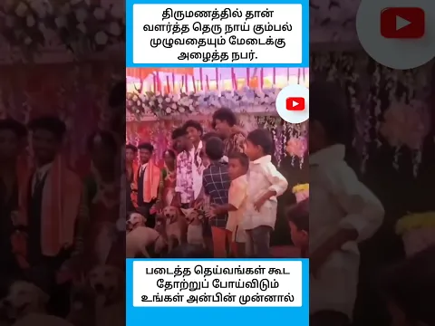 படைத்த தெய்வங்கள் கூட தோற்றுப் போய்விடும் உங்கள் அன்பின் முன்னால் #shorts
