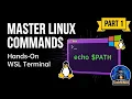 Linux Commands for Beginners Hands-on Linux Terminal Practice in WSL Part 1