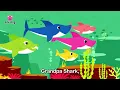 Baby Shark More and More | Compilation | Pinkfong Baby Shark Official