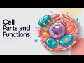 Cell Parts and Functions The Amazing World Inside Every Cell