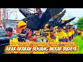 Lagu Arakan - Arakan Rajawali Benjang - Seni Benjang Mekar Budaya Tanjakan Muncang Cileunyi