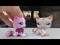 I found a lps weill i was hidieng to school