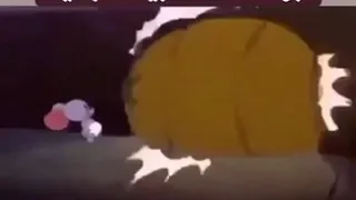 يا كسومك أفتح الباب يا بن الشرموطه دندنها