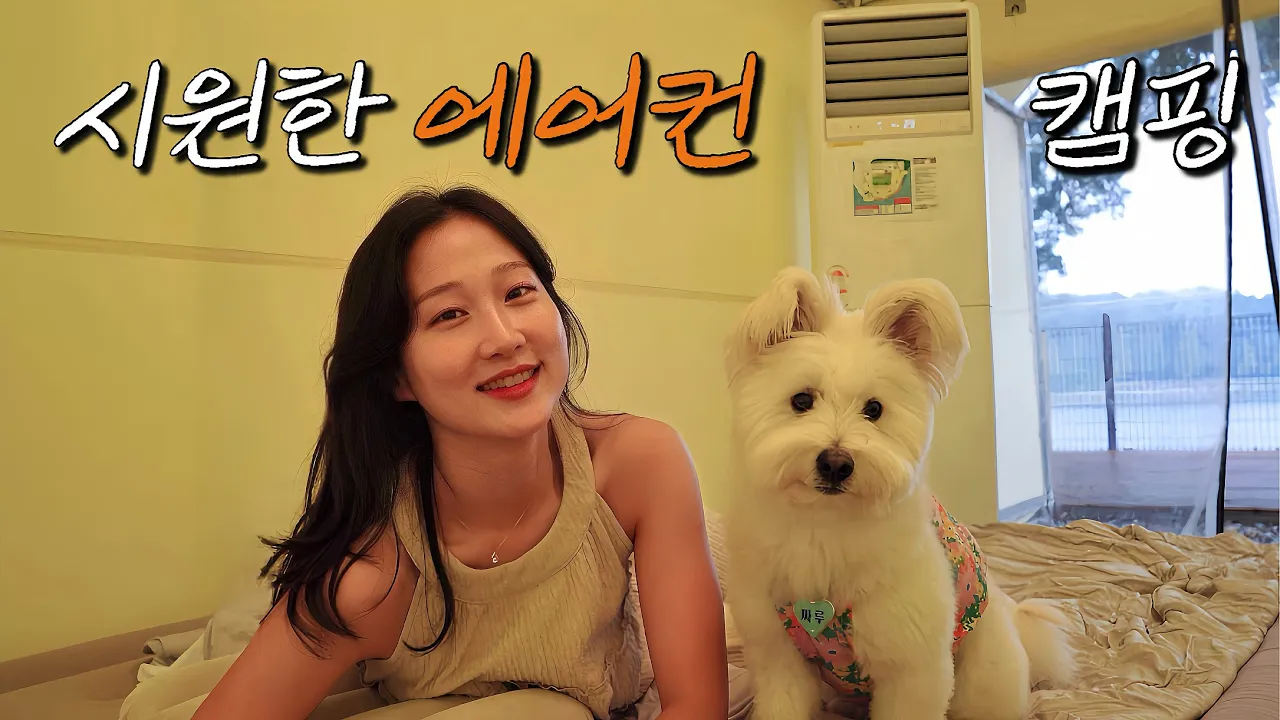 【애견동반 캠핑】 37℃ 뜨거운 여름, 강아지와 캠핑하는 방법 / 넓은 사이트,  강아지 울타리, 에어컨까지 다 내꺼! / 아산 재리캠핑 / 에어컨 캠핑장 / 솔로캠핑 / 여름캠핑 썸네일