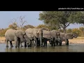 Download Lagu elephants-burning spear