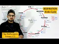 Krebs Cycle step by step Citric acid Cycle or TCA