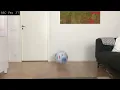 Beach Ball Bounce ref 3