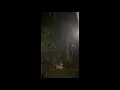 Snow flurries come down in Cary