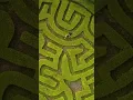 They said I was too dumb to solve this maze