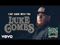 Download Lagu Luke Combs - I Got Away with You (Audio)