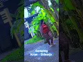 Download Lagu Lok4lisas1 Gamping Sidoarjo.