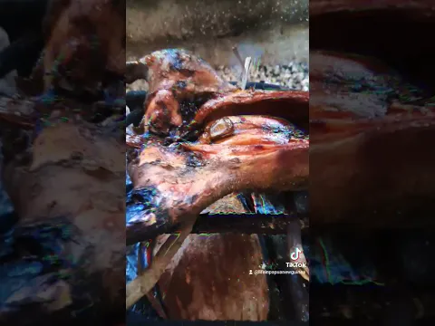 BUSH MEAT 🍖 😋 Wel abus!