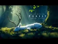 Download Lagu Guardian of the Forest | Celtic Fantasy Music - Relaxing Ambient Music
