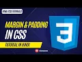 Margin Padding in CSS Tutorial in Hindi For Beginners W3 Web School