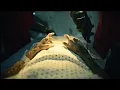 Katy Perry - Watch It Burn (Music Video Trailer)