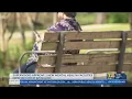 Supervisors approve construction of 2 new psychiatric health facilities in Bakersfield
