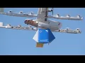 Walmart expanding drone delivery service to 2 more North Texas cities