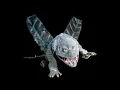 Download Lagu (Warning Earrape) All Ultraman Kaiju Roar (1966)