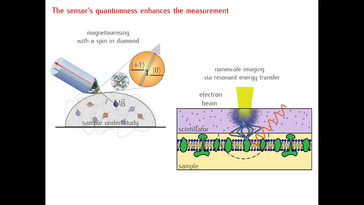 Prof. C. D. Aiello (UCLA): From nanotech to living sensors: unravelling the spin physics.