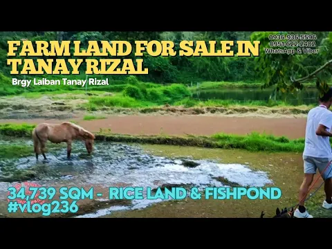 Download MP3 #vlog236 FARM LOT FOR SALE IN TANAY RIZAL PHILIPPINES (34,739 SQM) #vlog235