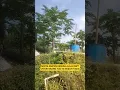Download Lagu Minta ampun kepada Allah untuk orang tua yang ssh tiada