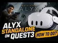 Alyx on Meta Quest 3 - How To DO