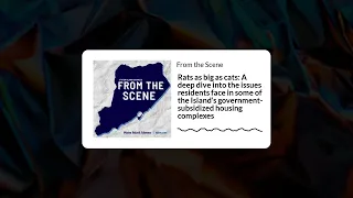 Rats as big as cats Issues faced in the Island s housing complexes From the Scene Ep 16