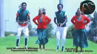 Badhaasoo A Kadiroo Hin Tuqinaa New Oromoo African Music Ofikoo Tube 
