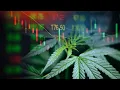 America s Top 4 Banks owe 169 Trillion UNREALIZED LOSSES Federal Reserve Bank Liability Report H8