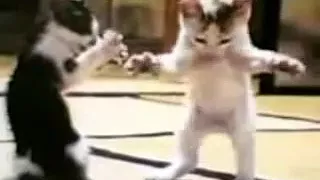 ١٢٣٤٥٦٧٨٩ دندنها