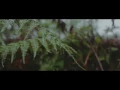 TELEBIT - Sombras (Video Oficial)
