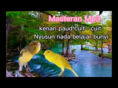 Download MP3 suara materan mp3 kenari bahan cocok untuk semua paud belajar bunyi