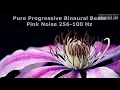 Meditation Progressive Binaural Beats Pink Noise 256-100 Hz 1 Hour +