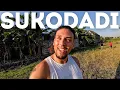 Download Lagu First Impression of East Java 🇮🇩 Sukodadi, Lamongan