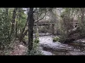 Alligator Creek Starke FL