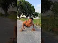 Download Lagu push up nahin lagte Hain 🤔?            #workout #fitness