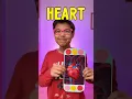 INSIDE OUR BODY - ORGANS FOR KIDS