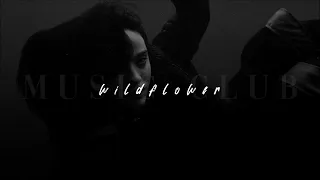 Billie Eilish WILDFLOWER Slowed Reverb 