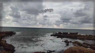                                               عمرو دياب    هيعيش يفتكرني   كلمات    تصميم فيديو   دندنها