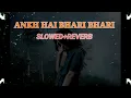 Download Lagu ankh hai bhari bhari (female) slowed reverb song lo-fi music