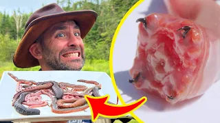 BITTEN by 3 TOXIC Worms Which is Worst
