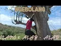 Download Lagu Ngebolang Sarang Burung Elang \u0026 Alap - Alap Di Hutan Lombok NTB