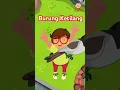 Lagu Lagu anak Burung Ketilang (Kutilang) #laguanakindonesia