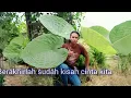 Download Lagu Lirik Lagu Malaysia (TERPAKSA AKU LAKUKAN) #liriklagu #malaysia #nostalgiajamandulu #sultan #music