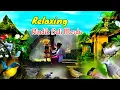 Download Lagu Rindik Bali Merdu dan Populer Dengan Suara Burung di Alam Liar 🐦🌿🍃