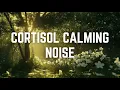 CORTISOL CALMING NOISE 12 Hours Black Screen No Midway Ads Relax Sleep Calm Anxiety Focus