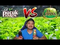 Download Lagu DUEL TEH : PUCUK HARUM VS JAVANA