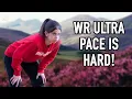 Download Lagu Just How Fast Is World Record Ultra Marathon Pace?