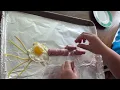 The structures and functions of the Neuron